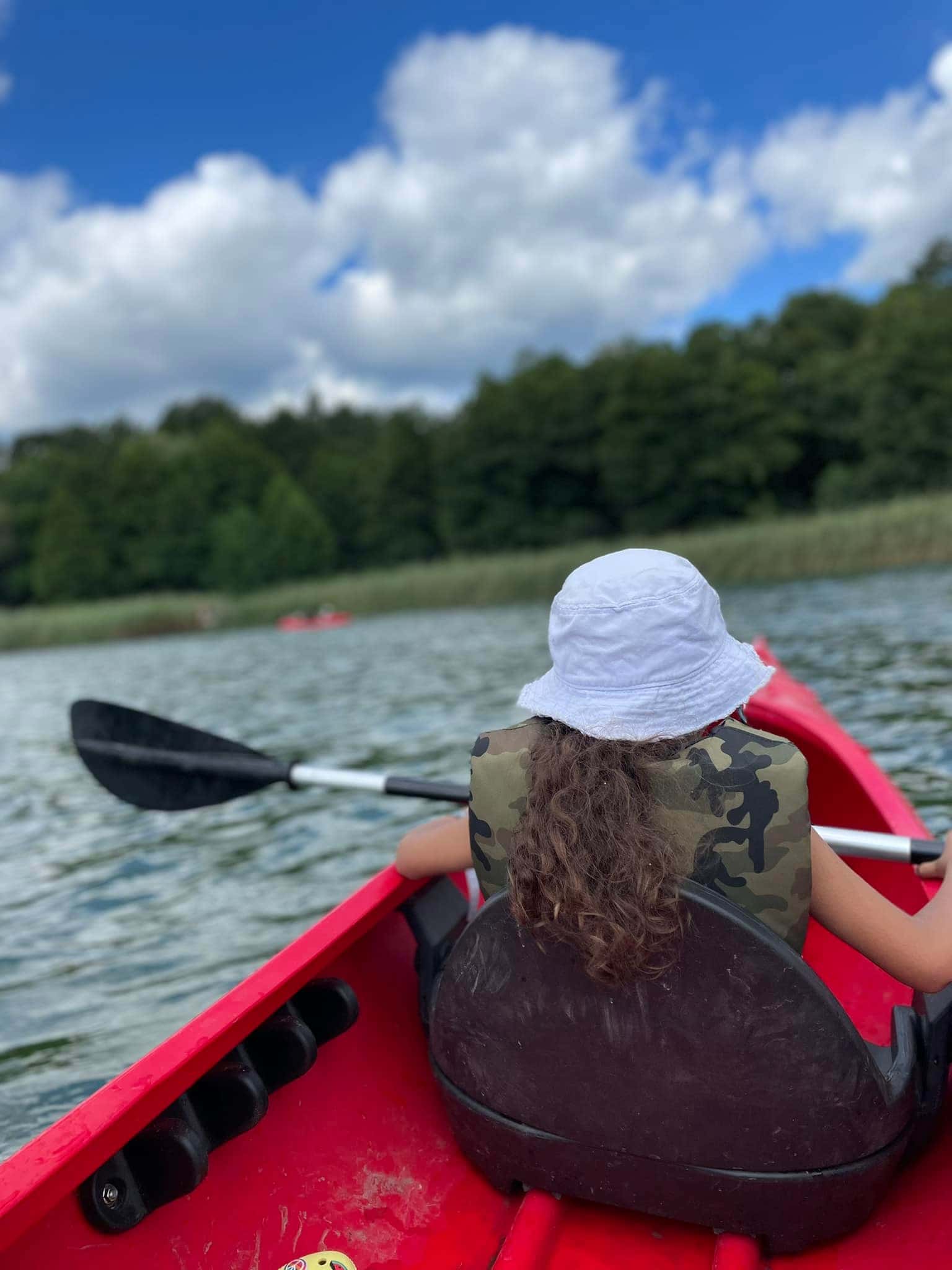 Obozy, kolonie, pokazy