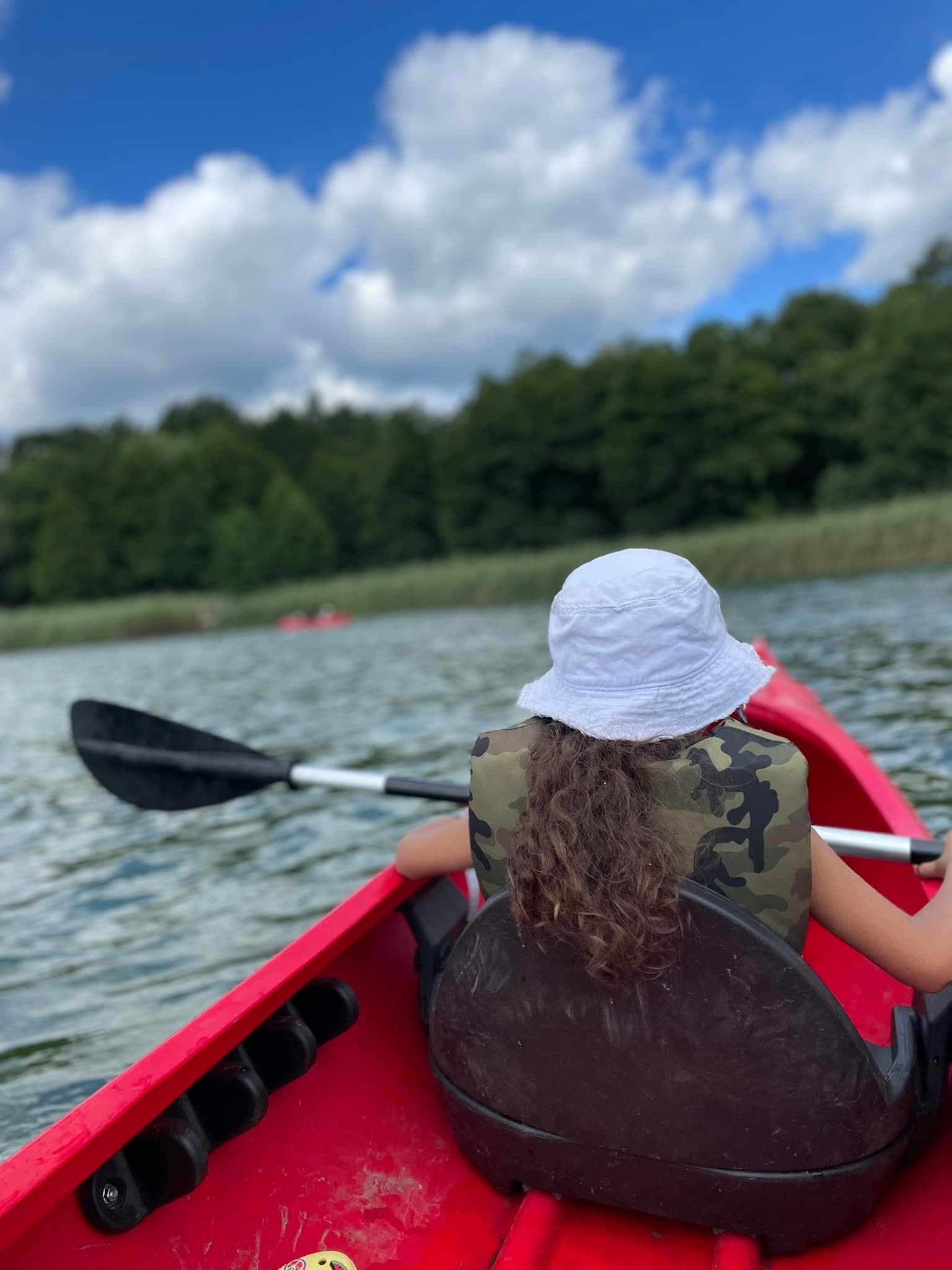 Obozy, kolonie, pokazy